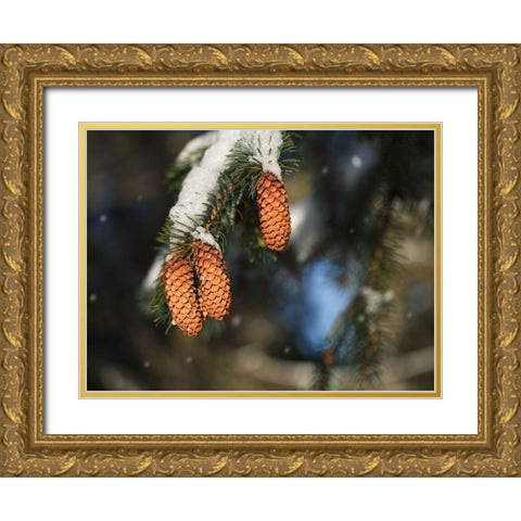 Cocottes Gold Ornate Wood Framed Art Print with Double Matting by Bonin, Suzanne