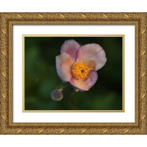 Hello World Gold Ornate Wood Framed Art Print with Double Matting by Bonin, Suzanne