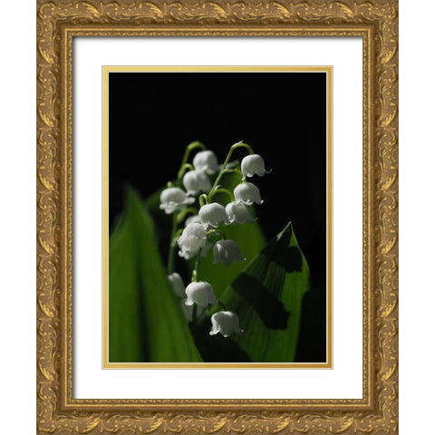 Lily Of The Valley Gold Ornate Wood Framed Art Print with Double Matting by Bonin, Suzanne