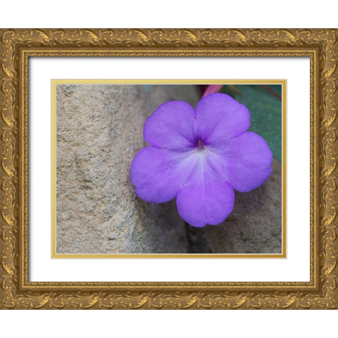 Magic Flower Gold Ornate Wood Framed Art Print with Double Matting by Bonin, Suzanne