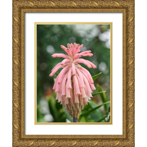Forest Lily Gold Ornate Wood Framed Art Print with Double Matting by Bonin, Suzanne