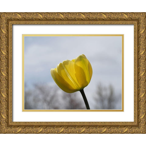 Alone Gold Ornate Wood Framed Art Print with Double Matting by Bonin, Suzanne