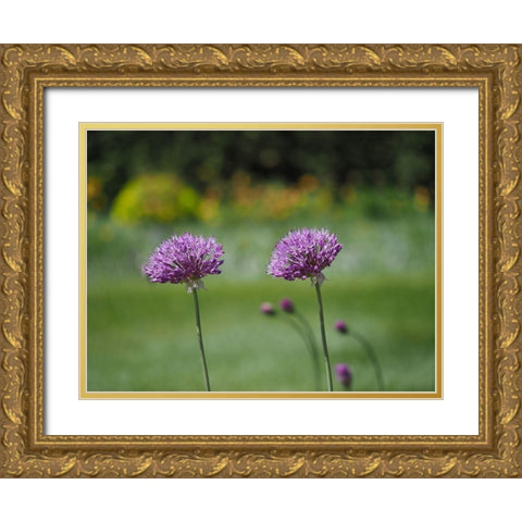 Blossom Chives Gold Ornate Wood Framed Art Print with Double Matting by Bonin, Suzanne