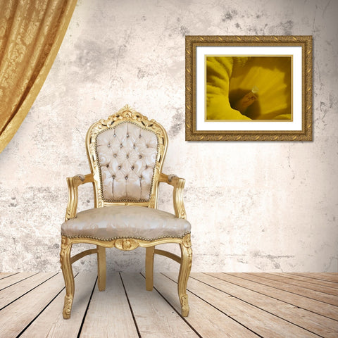 Daffodil Stigma Gold Ornate Wood Framed Art Print with Double Matting by Bonin, Suzanne
