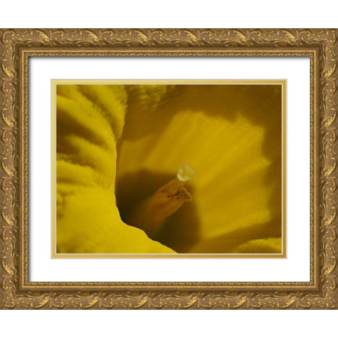 Daffodil Stigma Gold Ornate Wood Framed Art Print with Double Matting by Bonin, Suzanne