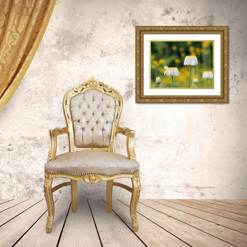 Lawn Daisies Gold Ornate Wood Framed Art Print with Double Matting by Bonin, Suzanne
