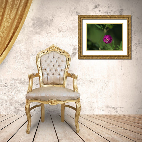 Lonely Gold Ornate Wood Framed Art Print with Double Matting by Bonin, Suzanne
