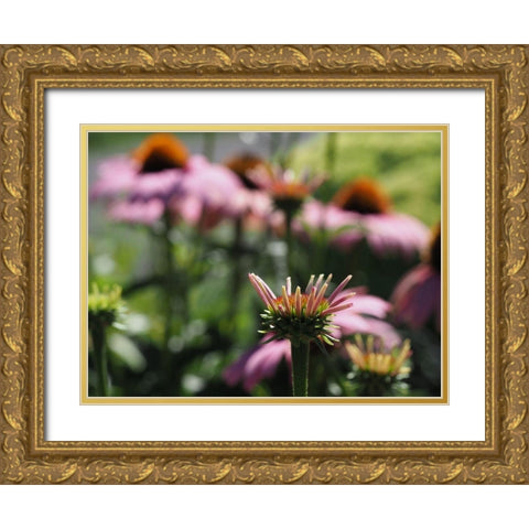 Spiky Gold Ornate Wood Framed Art Print with Double Matting by Bonin, Suzanne