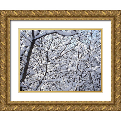 Still Winter Gold Ornate Wood Framed Art Print with Double Matting by Bonin, Suzanne