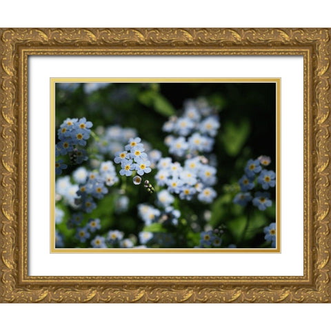 Beautiful Day Gold Ornate Wood Framed Art Print with Double Matting by Bonin, Suzanne