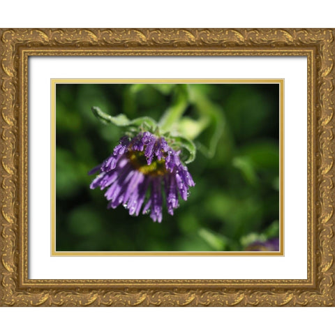 Beauty In Nature Gold Ornate Wood Framed Art Print with Double Matting by Bonin, Suzanne