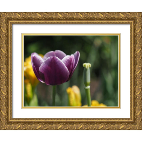 Before After Gold Ornate Wood Framed Art Print with Double Matting by Bonin, Suzanne