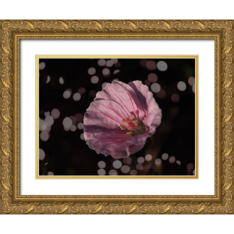 Bloody Cranesbill Gold Ornate Wood Framed Art Print with Double Matting by Bonin, Suzanne