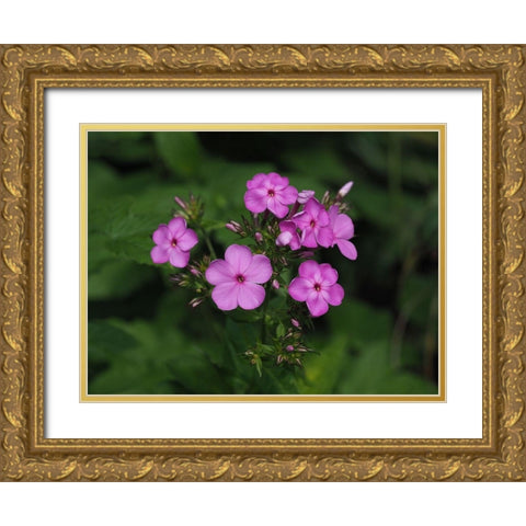 Bouquet In Nature Gold Ornate Wood Framed Art Print with Double Matting by Bonin, Suzanne