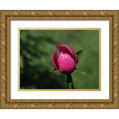 Budding Gold Ornate Wood Framed Art Print with Double Matting by Bonin, Suzanne
