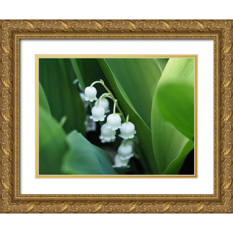 Clochettes Gold Ornate Wood Framed Art Print with Double Matting by Bonin, Suzanne