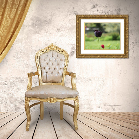 Dark Beauty Gold Ornate Wood Framed Art Print with Double Matting by Bonin, Suzanne