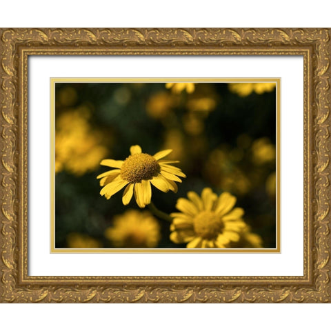 Dreamy Gold Ornate Wood Framed Art Print with Double Matting by Bonin, Suzanne