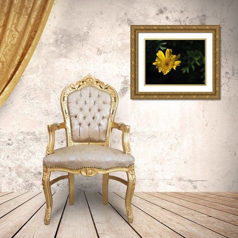 Early Riser Gold Ornate Wood Framed Art Print with Double Matting by Bonin, Suzanne
