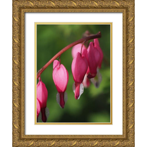 Hearts Gold Ornate Wood Framed Art Print with Double Matting by Bonin, Suzanne