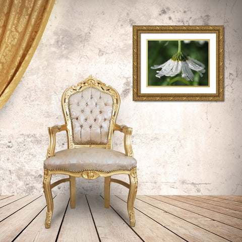 Hidden Treasure Gold Ornate Wood Framed Art Print with Double Matting by Bonin, Suzanne