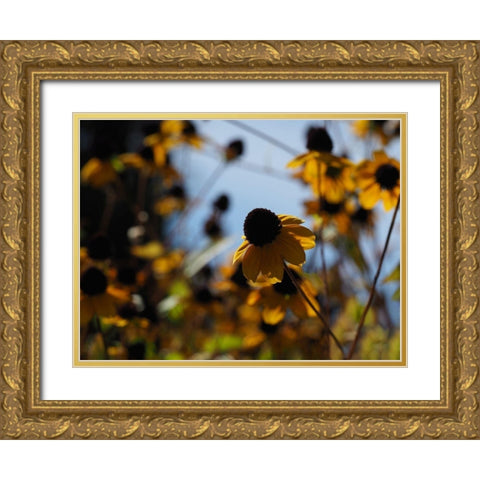 In Nature Gold Ornate Wood Framed Art Print with Double Matting by Bonin, Suzanne