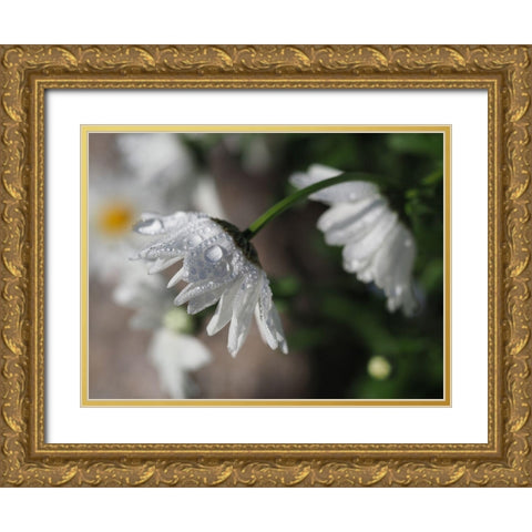 Jewels Of Nature Gold Ornate Wood Framed Art Print with Double Matting by Bonin, Suzanne