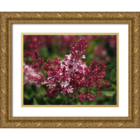 Joy Gold Ornate Wood Framed Art Print with Double Matting by Bonin, Suzanne