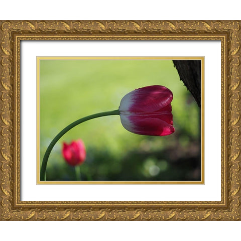 Leaning Gold Ornate Wood Framed Art Print with Double Matting by Bonin, Suzanne