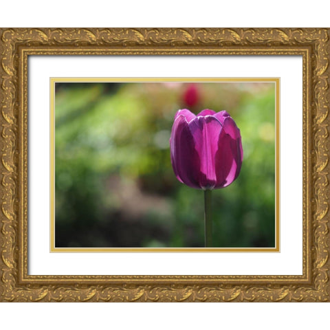 Lovely Lady Gold Ornate Wood Framed Art Print with Double Matting by Bonin, Suzanne