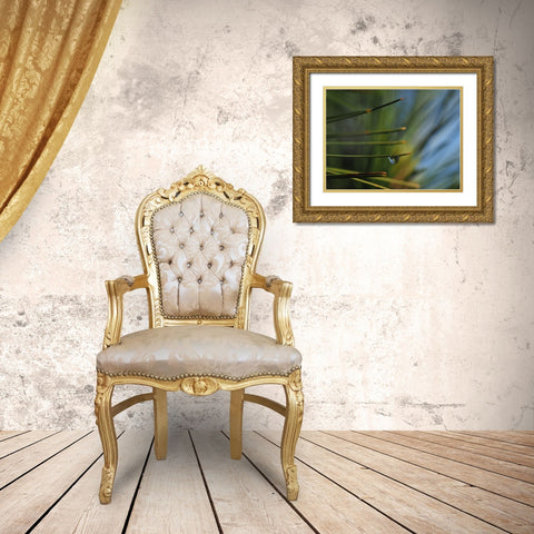 One Drop Gold Ornate Wood Framed Art Print with Double Matting by Bonin, Suzanne