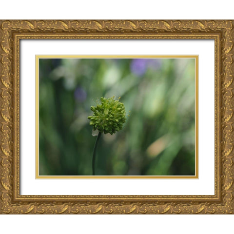 Ornamental Onion Gold Ornate Wood Framed Art Print with Double Matting by Bonin, Suzanne