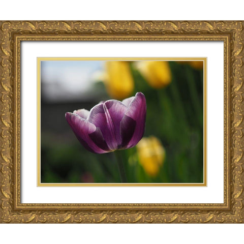 Peace Gold Ornate Wood Framed Art Print with Double Matting by Bonin, Suzanne