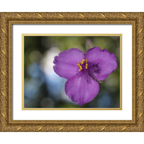 Prairie Beauty Gold Ornate Wood Framed Art Print with Double Matting by Bonin, Suzanne