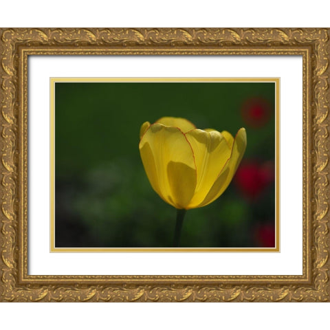 Pretty Lady Gold Ornate Wood Framed Art Print with Double Matting by Bonin, Suzanne