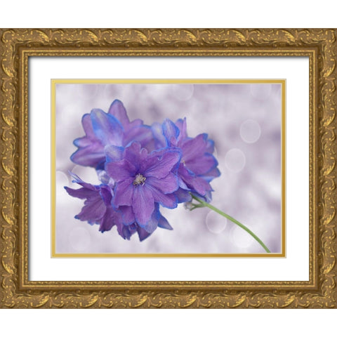 Pretty Me Gold Ornate Wood Framed Art Print with Double Matting by Bonin, Suzanne