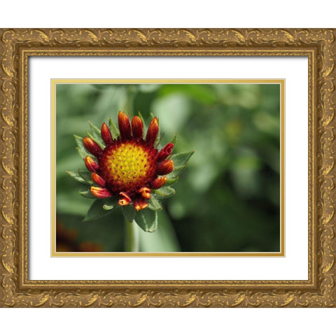 Rebel Gold Ornate Wood Framed Art Print with Double Matting by Bonin, Suzanne