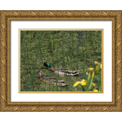 Sauve Qui Peut Gold Ornate Wood Framed Art Print with Double Matting by Bonin, Suzanne