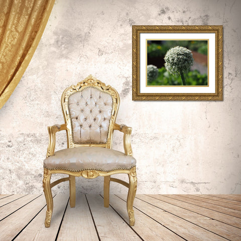 Sphere Gold Ornate Wood Framed Art Print with Double Matting by Bonin, Suzanne