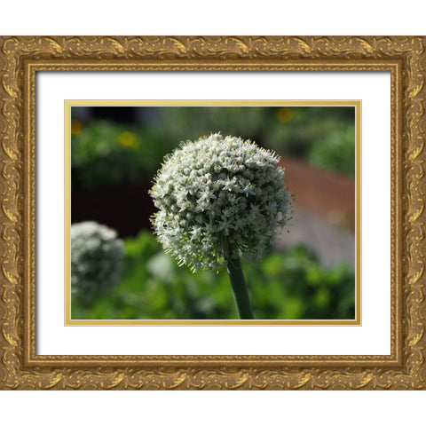 Sphere Gold Ornate Wood Framed Art Print with Double Matting by Bonin, Suzanne