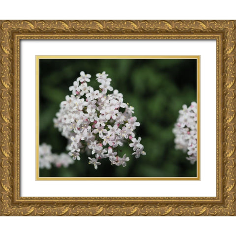 Spicy Gold Ornate Wood Framed Art Print with Double Matting by Bonin, Suzanne