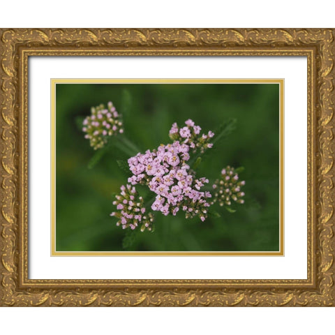 This Is Life Gold Ornate Wood Framed Art Print with Double Matting by Bonin, Suzanne