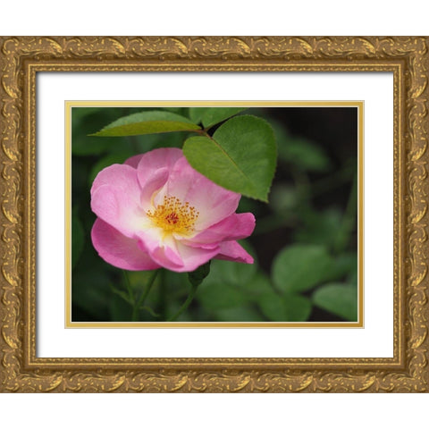 Under The Shade Gold Ornate Wood Framed Art Print with Double Matting by Bonin, Suzanne