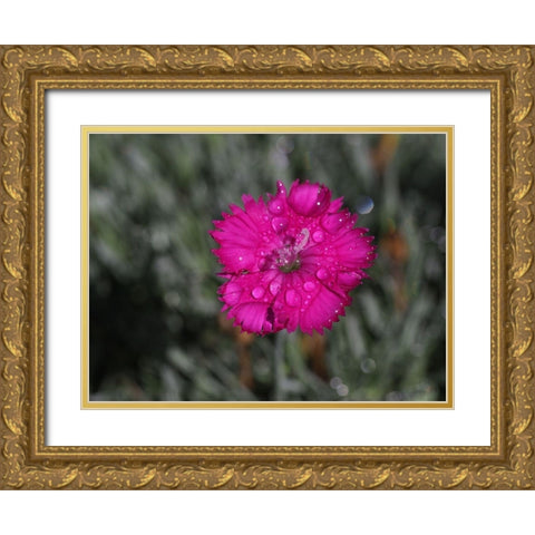 Wet Wild Earth Gold Ornate Wood Framed Art Print with Double Matting by Bonin, Suzanne