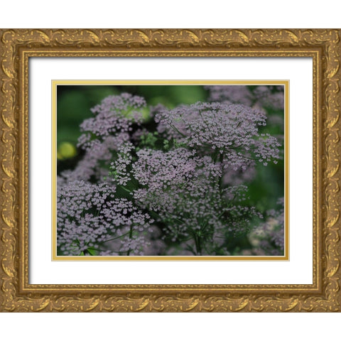 Wild Ones Gold Ornate Wood Framed Art Print with Double Matting by Bonin, Suzanne