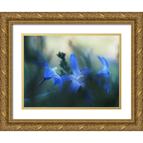 Broken Gold Ornate Wood Framed Art Print with Double Matting by Bonin, Suzanne