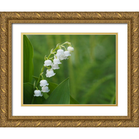 Muguet Gold Ornate Wood Framed Art Print with Double Matting by Bonin, Suzanne