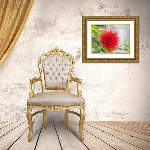 Powderpuff Gold Ornate Wood Framed Art Print with Double Matting by Bonin, Suzanne