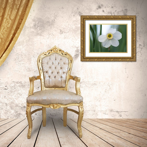 Fine Beauty Gold Ornate Wood Framed Art Print with Double Matting by Bonin, Suzanne