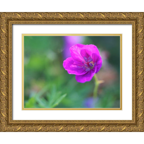 Little Bead Gold Ornate Wood Framed Art Print with Double Matting by Bonin, Suzanne